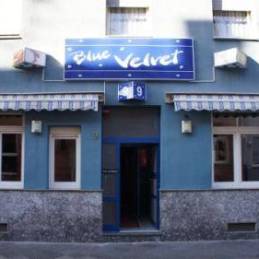 Huren Mannheim - Hobbyhure Blue Velvet 18 Jahre aus Mannheim